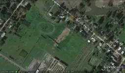 gurnsey field1.webp