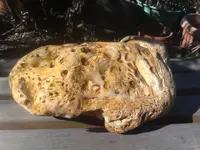 rock 1.webp