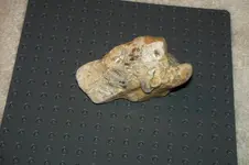 102_6850.webp