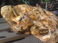 rock 4.webp