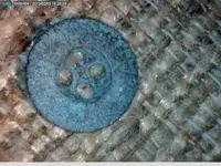 button.webp