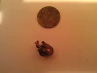 IMAG0333.webp IMAG0333.webp