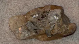 silver 1.webp