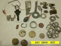 0126NUT.webp
