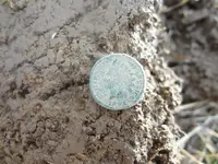 Metal Detecting 2013 046.webp