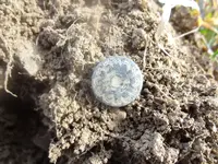 Metal Detecting 2013 048.webp