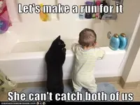 hDBAB19F8.webp