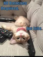 hA7E5E933.webp