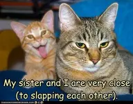 h5CA9DF62.webp