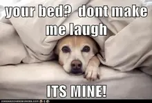 h7BCBDCB1.webp