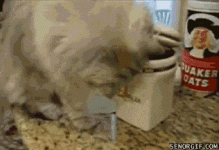 h1D8926BE.gif