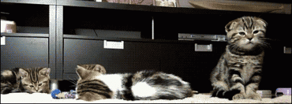 hA12762DF.gif