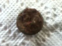 old navy button back.webp