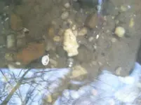 image-2713086567.webp