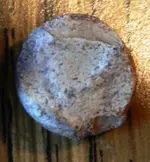 DSCN8698.webp