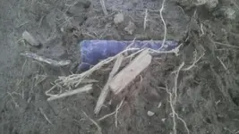 100MEDIA95IMAG3632.webp