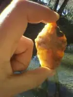 image-1584899731.webp