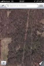 image-1353920719.webp