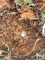 Ground.webp