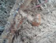Untitled 0 00 00-07.webp