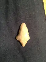 image-1645516837.webp