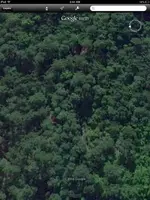 image-3617193237.webp