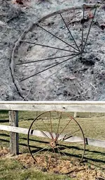 wheel.webp