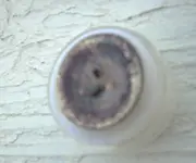 Picture or Video 549.webp