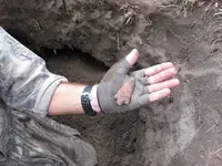 feb232012bush 022.webp
