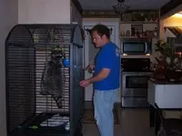image-979854841.webp