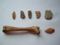 DSCF0341.webp