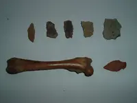 DSCF0342.webp