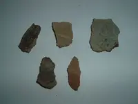 DSCF0343.webp