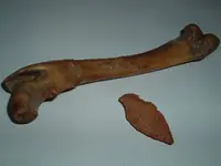 DSCF0345.webp