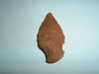 DSCF0350.webp