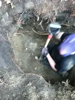 image-2248908243.webp