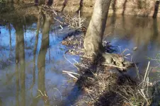 100_2696.webp
