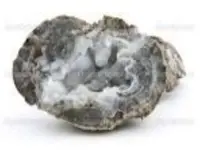 images (20)_800x600.webp