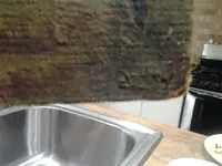 2013-02-19 09.34.33.webp