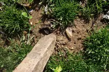 100_2672.webp