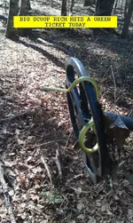 0212SNAKE.webp
