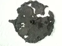 photo.webp