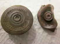 0212SHELLS.webp