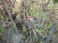 100_2256.webp