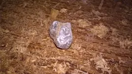 IMAG0622.webp