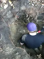 image-110070735.webp