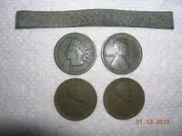 DSCN5861.webp