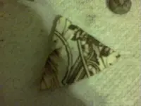 100_0311.webp