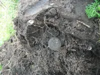 DSCF4785.webp
