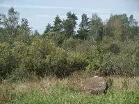 DSCF4793.webp